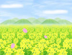 油菜花动态背景视频