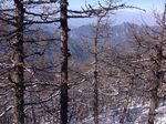 太白山 雪景