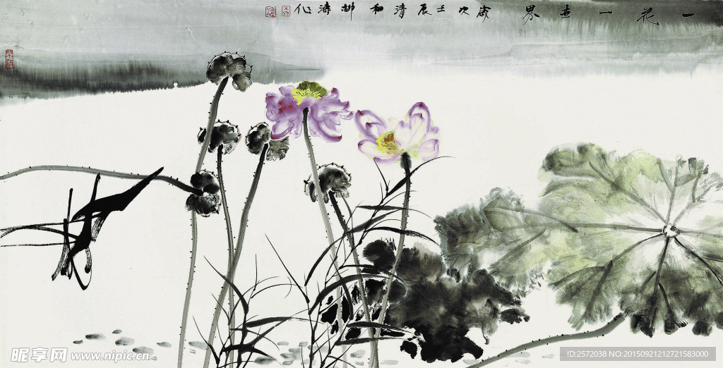 一花一世界