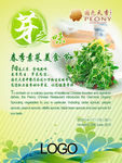 芽之味春季美食推广宣传海报广告