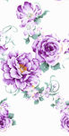 紫花 印花