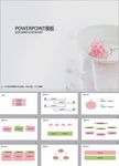 清新PPT   简约PPT