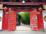 坑里