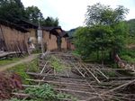 乡村 小屋