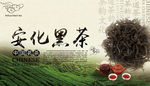 安化黑茶 茶背景 茶元素 茶杯