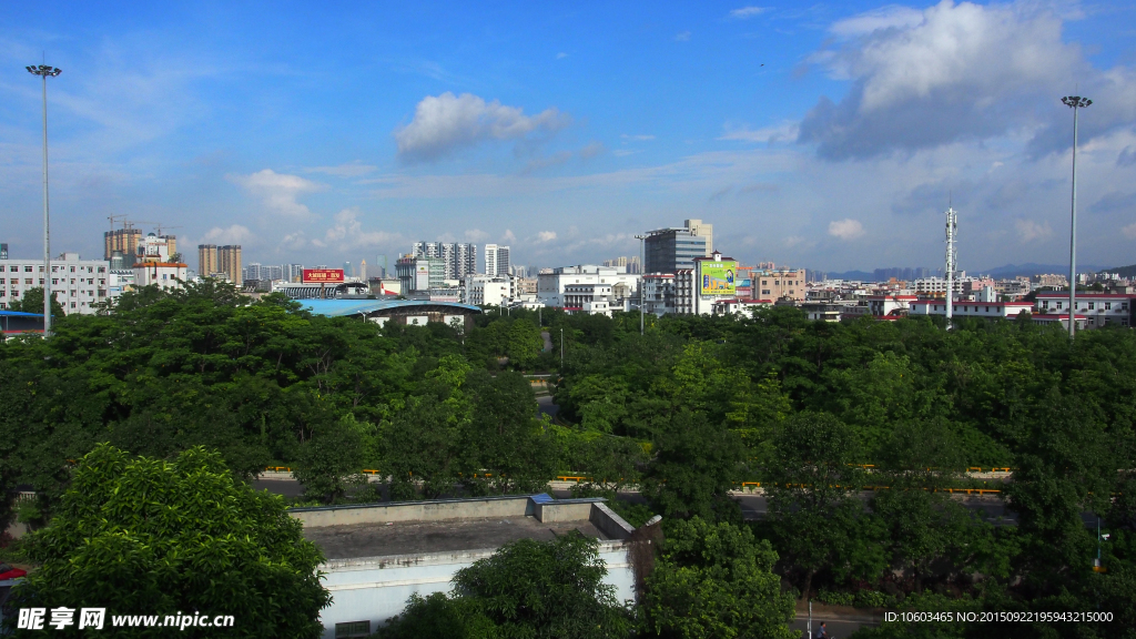 交通绿化 城市建筑