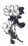 水墨花卉