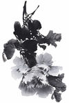 水墨花卉