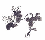 水墨花卉