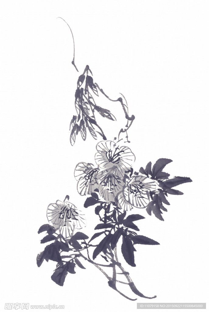 水墨花卉