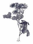 水墨花卉