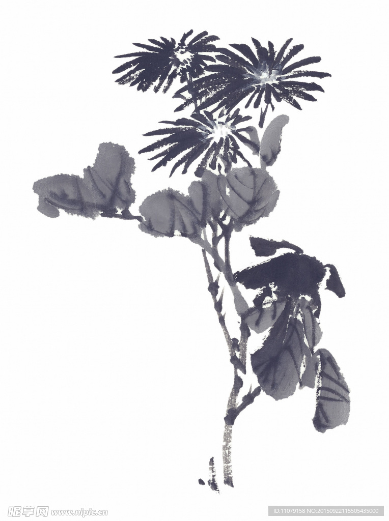 水墨花卉