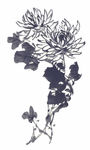 水墨花卉