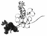 水墨花卉