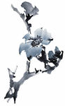 水墨花卉