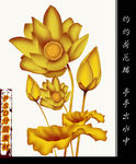 金色荷花PSD分层素材