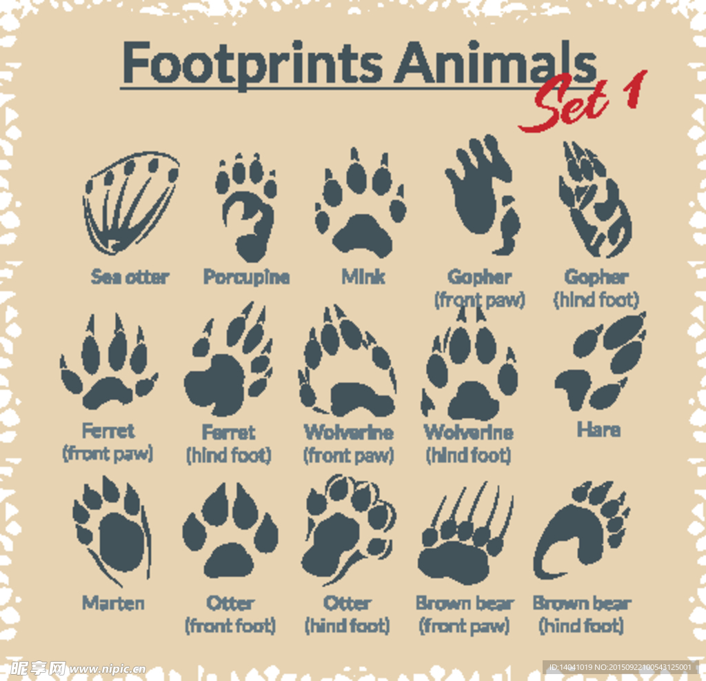 动物脚印矢量素材