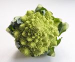 西兰花