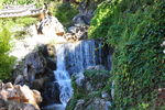水