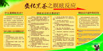 黑茶瞑眩反应