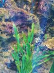 无锡水族馆