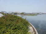 太湖风景