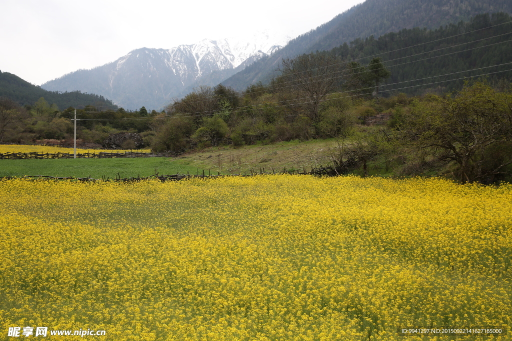 川藏林芝风景