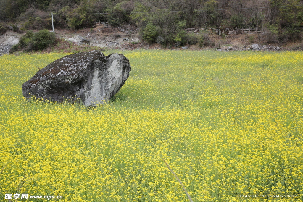 川藏林芝风景