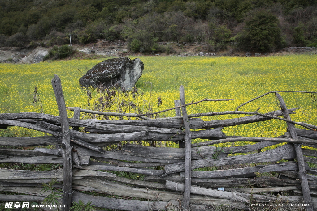 川藏林芝风景