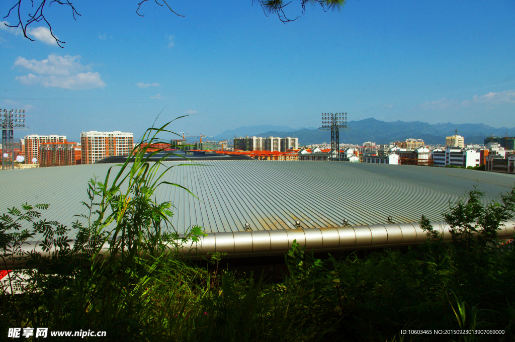 体育场馆 城市楼群