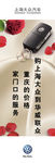 上海大众刀旗