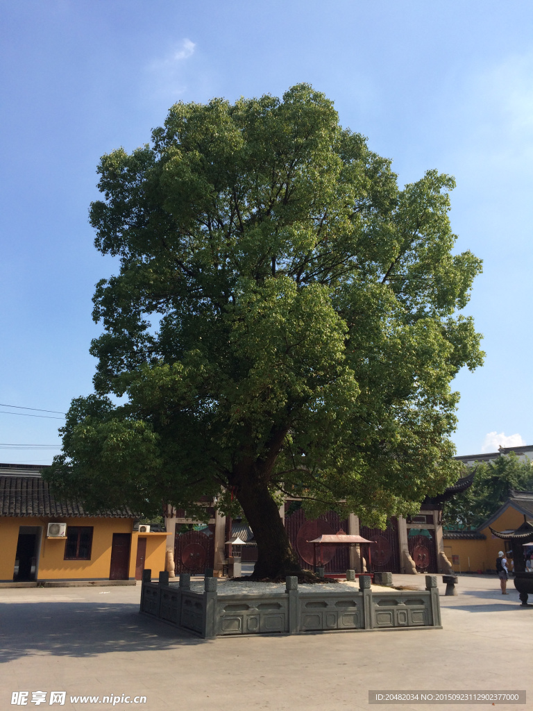 龙华寺