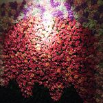 花墙背景墙