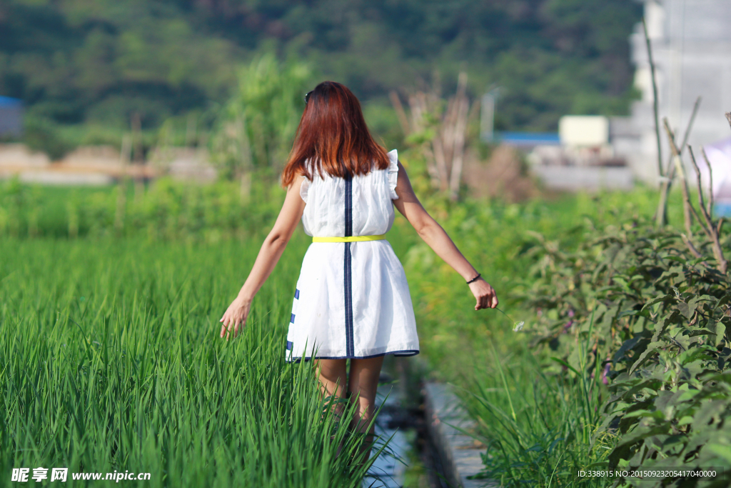 田野少女