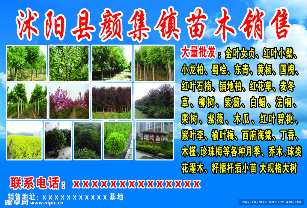 苗木销售