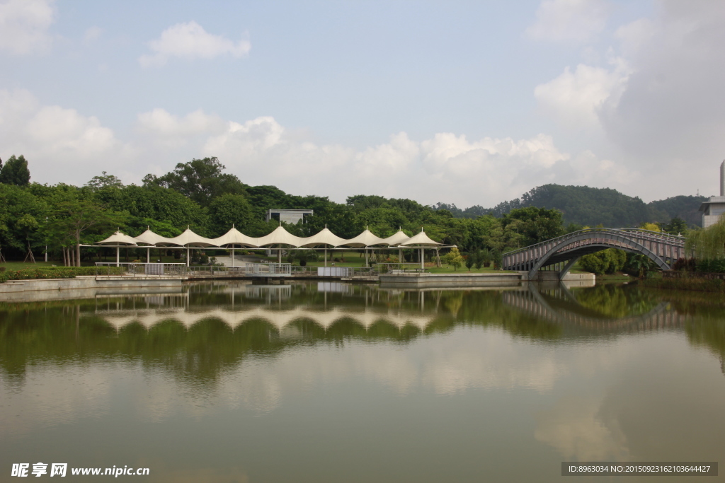 小湖边 公园一景  坪山公园