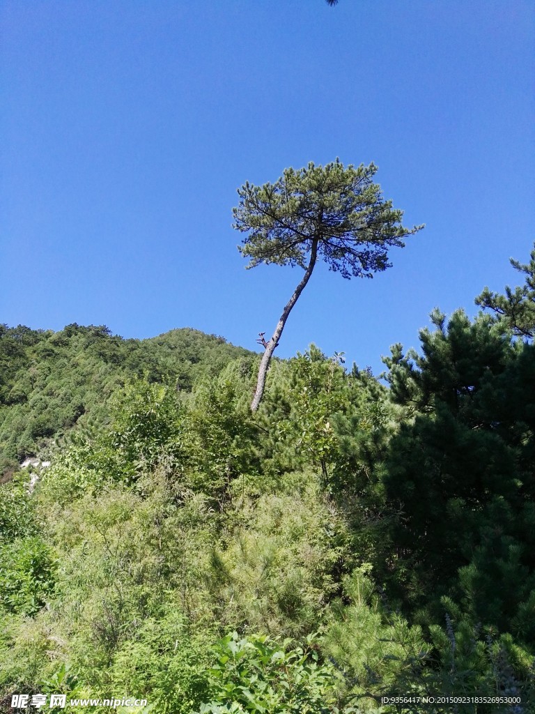 自然风景