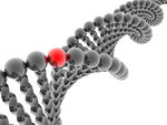 螺旋结构分子模型