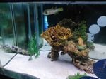 水族馆