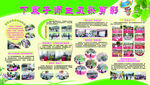 学校展板