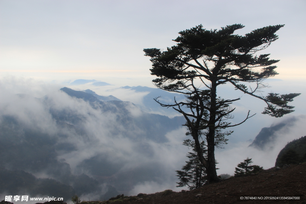 轿顶山风光