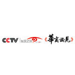 CCTV华山论见logo