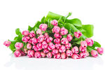 鲜花