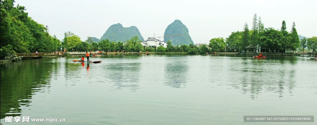 芦笛公园芳莲池风景