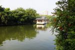 榕湖湖心亭风景