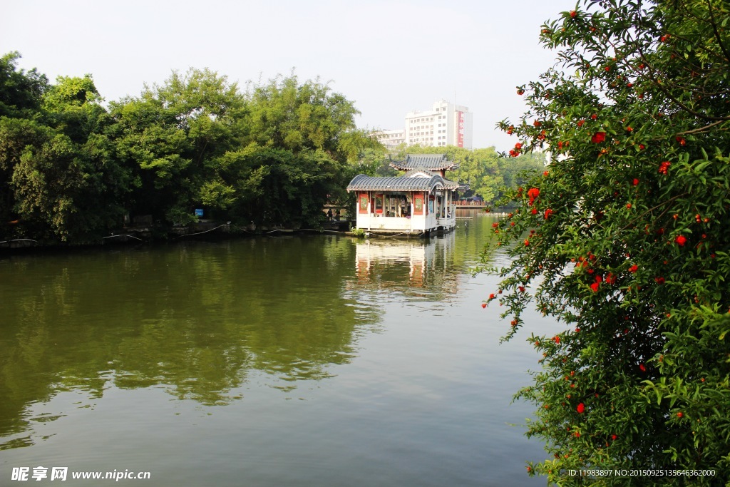 榕湖湖心亭风景