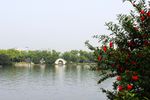 两江四湖榕湖风景