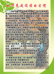 阅读的习惯