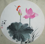 国画荷花《随心》