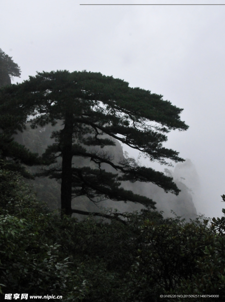 雾凇三清山